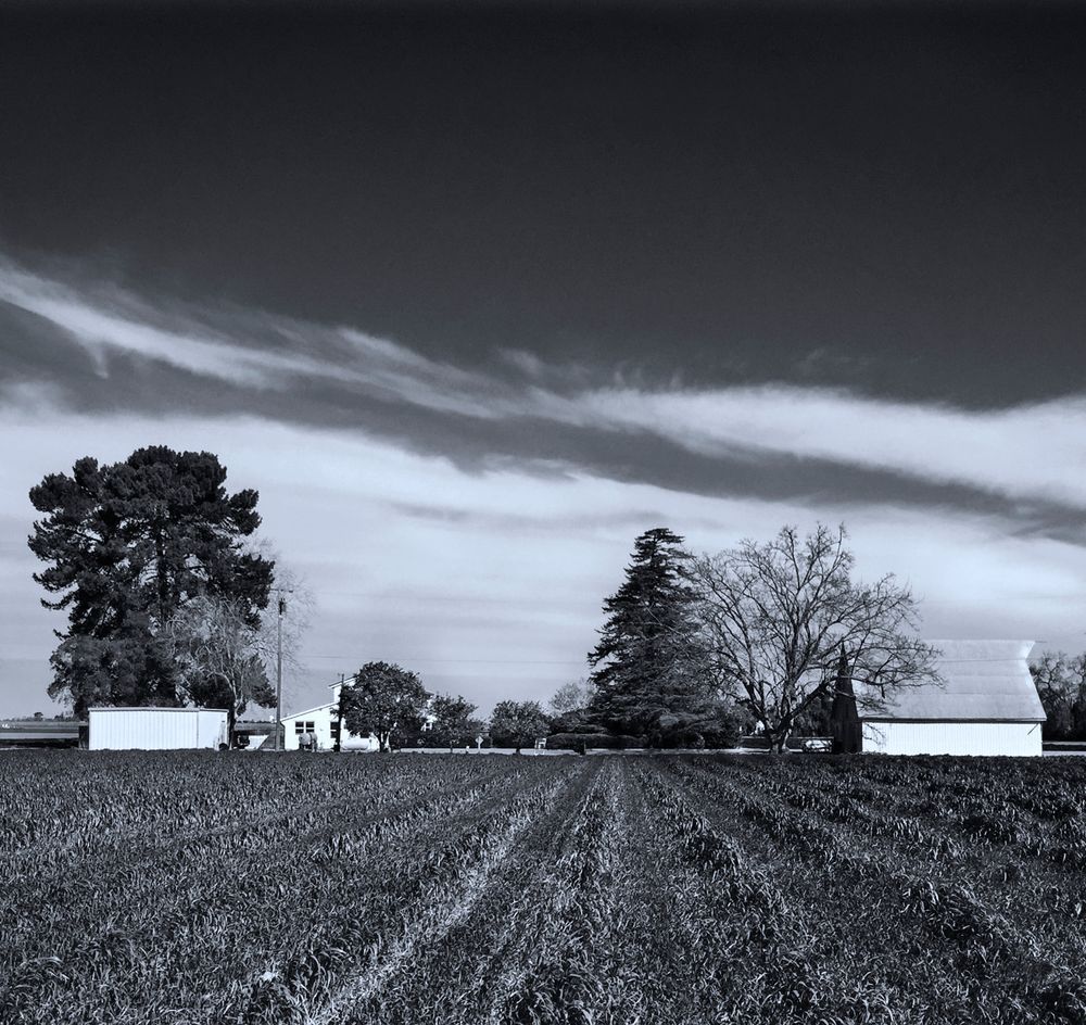 A farmhouse and barn sit quietly beneath streaking clouds in Esparto, California.