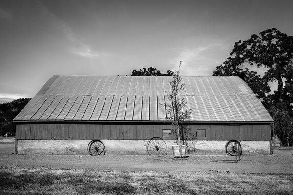 A barn sits amidst the rolling hills of the Yolo Land and Cattle Company of Yolo County, California.