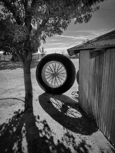 A tractor tire awaits further use at Pheasant Trek Ranch in Yolo County, California.