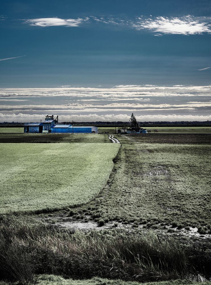 Early morning light reveals the muddy aftermath of Spring storms at Carden Ranch, Yolo County.