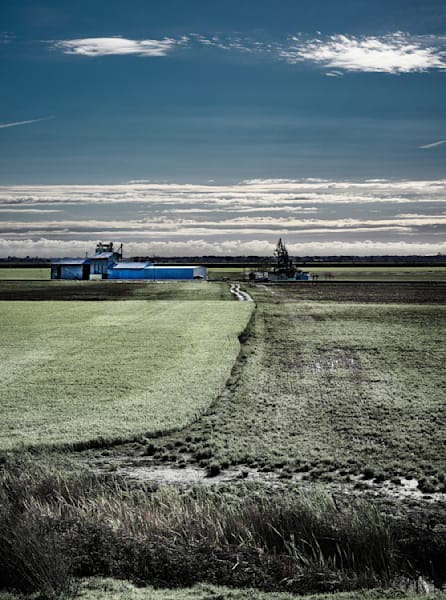 Early morning light reveals the muddy aftermath of Spring storms at Carden Ranch, Yolo County.