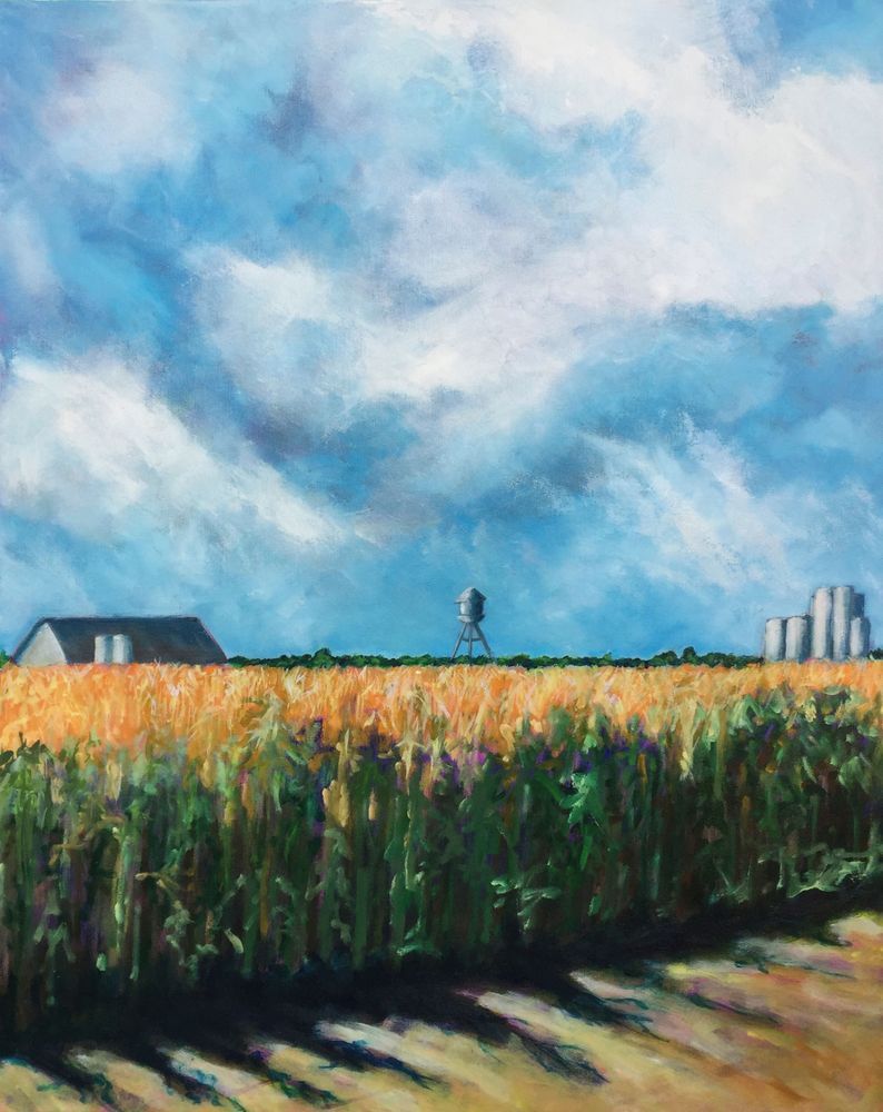 Cornfield, Yolo County Print Art | Patrick Cosgrove Art and Photography