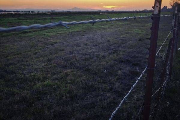 Cosumnes River Fence No.2 Art | Patrick Cosgrove Art and Photography