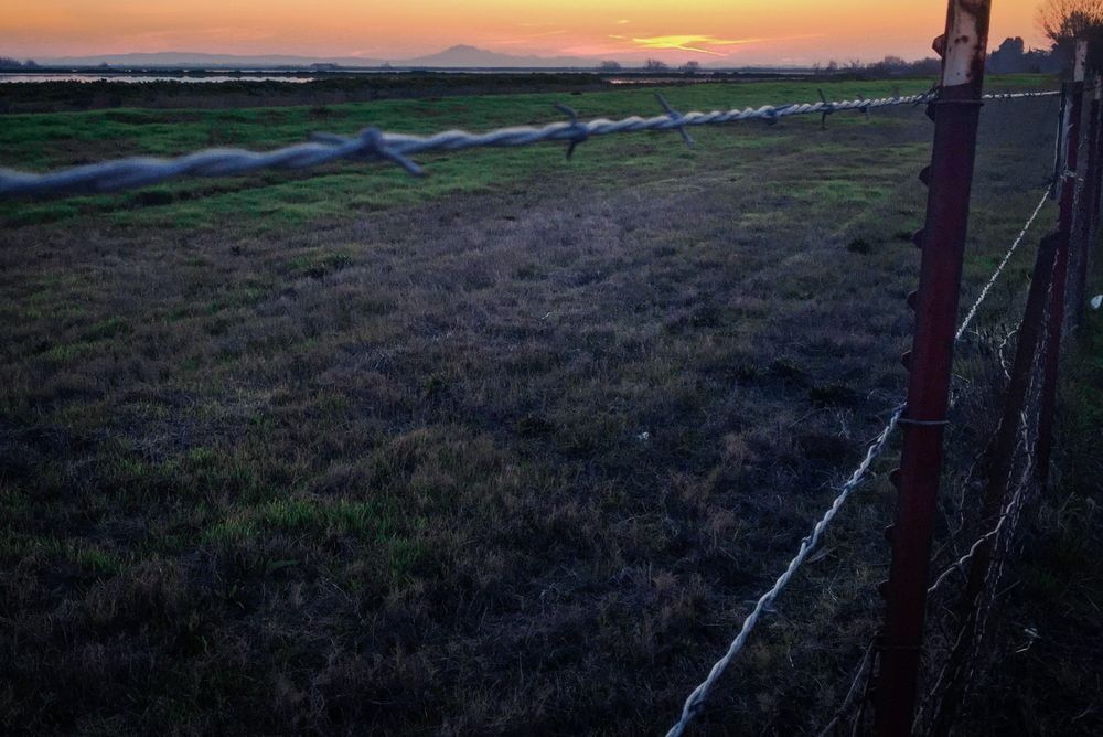 Cosumnes River Fence No.2 Art | Patrick Cosgrove Art and Photography