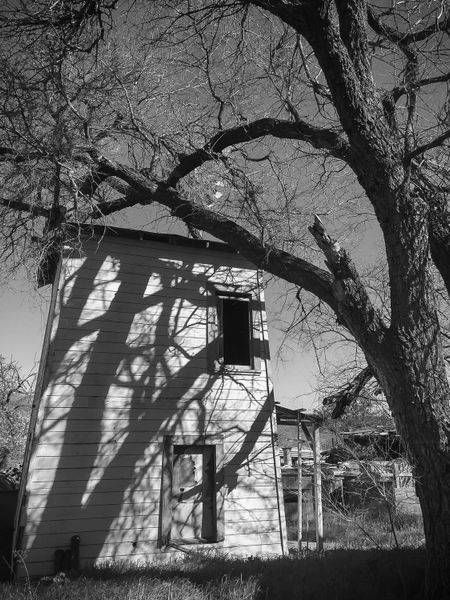 Tankhouse, Capay Organic No.1 Art | Patrick Cosgrove Art and Photography