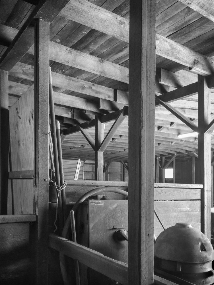 A barn interior glows with reflected light at Clos Cavanis Farm in Yolo County.