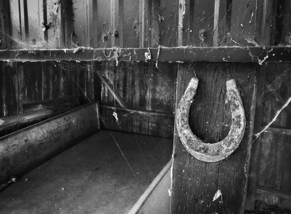 A horseshoe quietly rusts at the entrance to a weathered shed on the Clos Cavanis Farm in Yolo County.