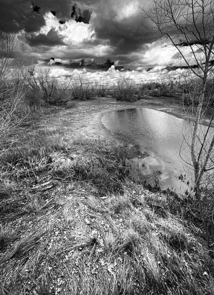 Partansky Pond serves as drainage control and temporary wetland for Canada geese beneath Spring clouds.