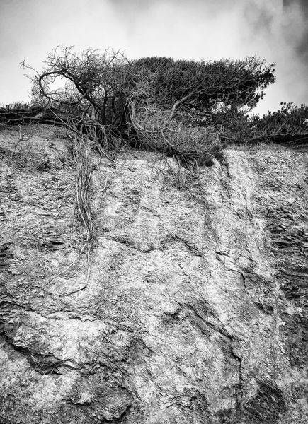 Crumbling Cliff, Agate Beach Art | Patrick Cosgrove Art and Photography