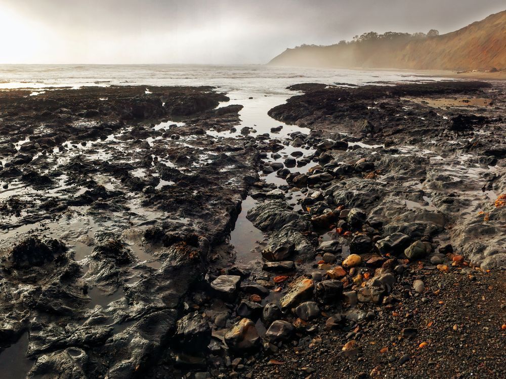 Incoming Fog, Agate Beach Art | Patrick Cosgrove Art and Photography