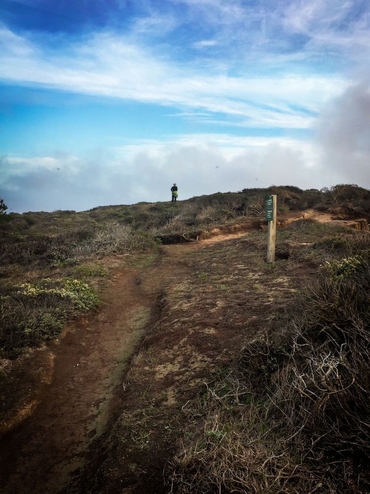 Cliffside Watcher Art | Patrick Cosgrove Art and Photography