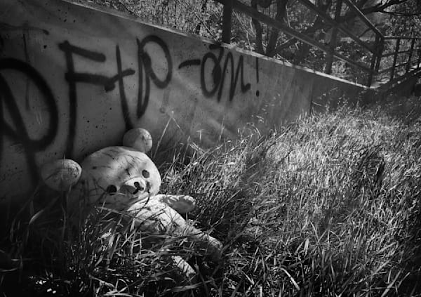 A stuffed bear lies forlornly along a drainage channel in Yolo County, California.