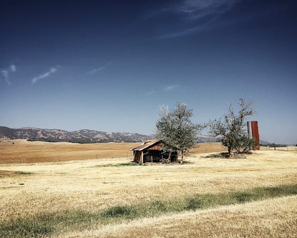 A shed and silo lean over from disuse, baking beneath the summer sun of Yolo County, California.