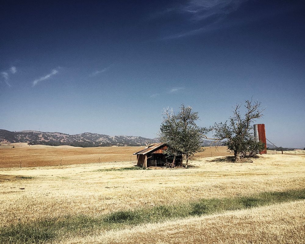 A shed and silo lean over from disuse, baking beneath the summer sun of Yolo County, California.