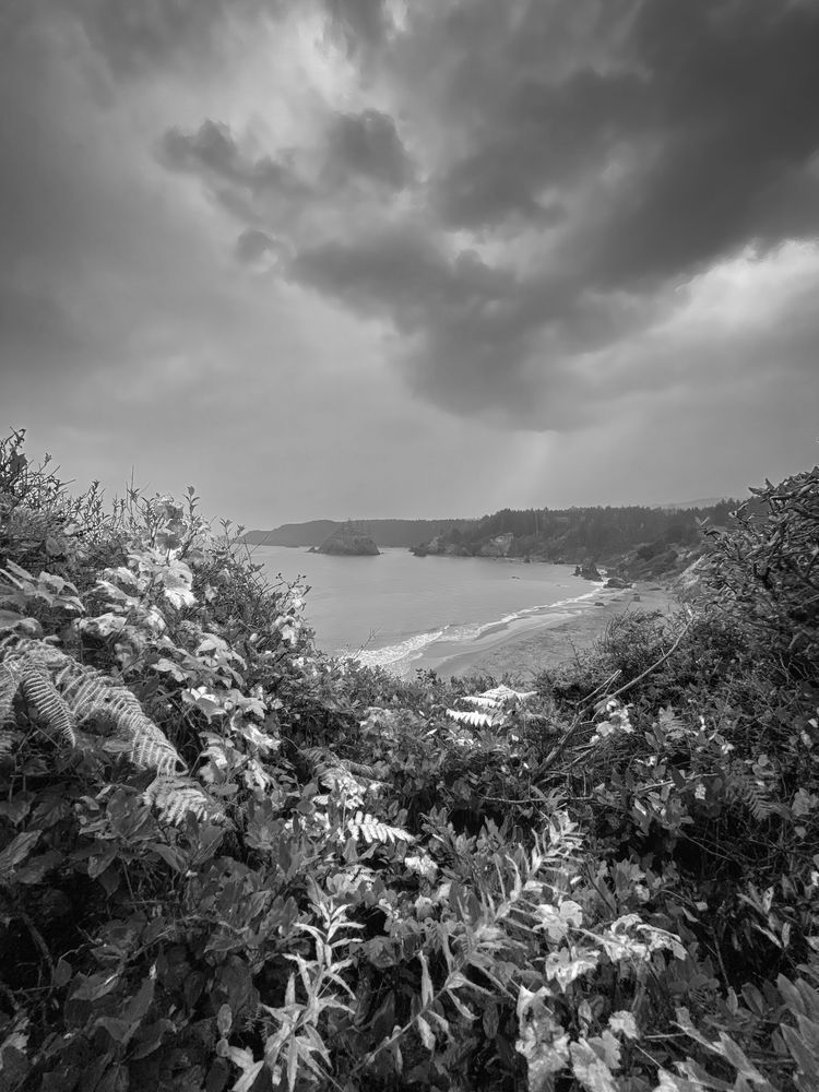 Approaching Rainstorm, Trinidad Bay Art | Patrick Cosgrove Art and Photography
