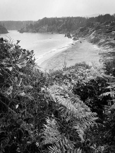 Above Trinidad Bay Art | Patrick Cosgrove Art and Photography
