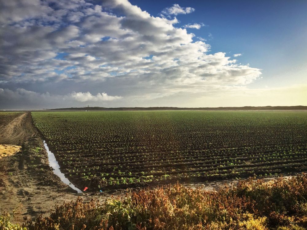Farm By The Sea Art | Patrick Cosgrove Art and Photography