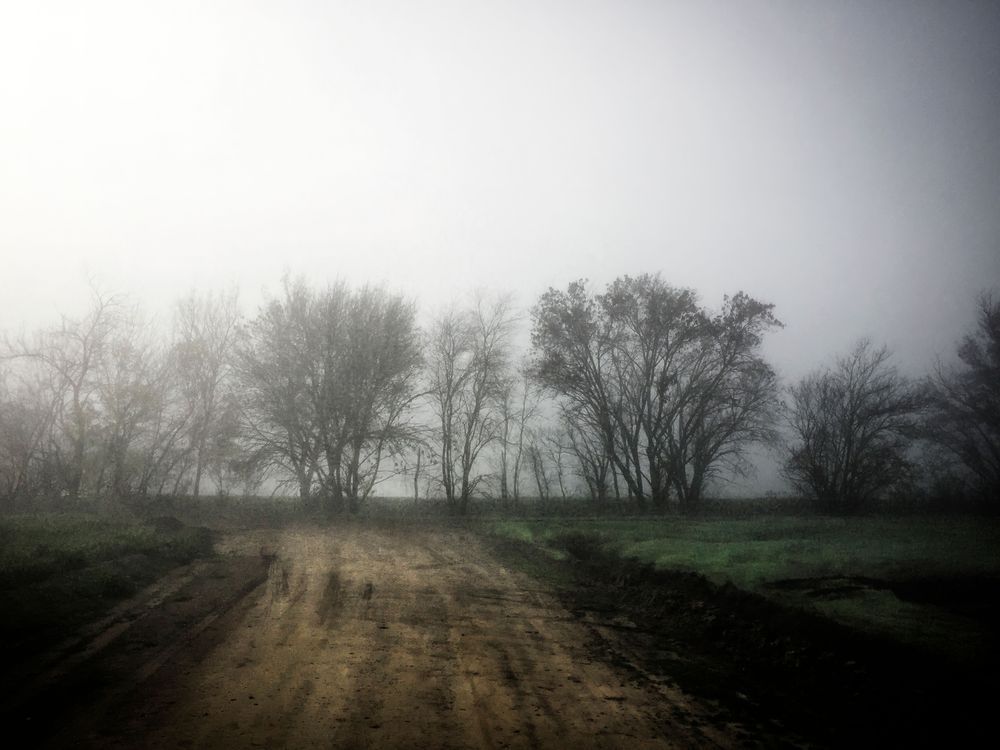 A foggy morning greets a field not yet planted in Yolo County, California.