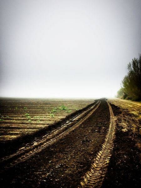 Morning fog turns tractor tracks into brushstrokes in a plowed field.