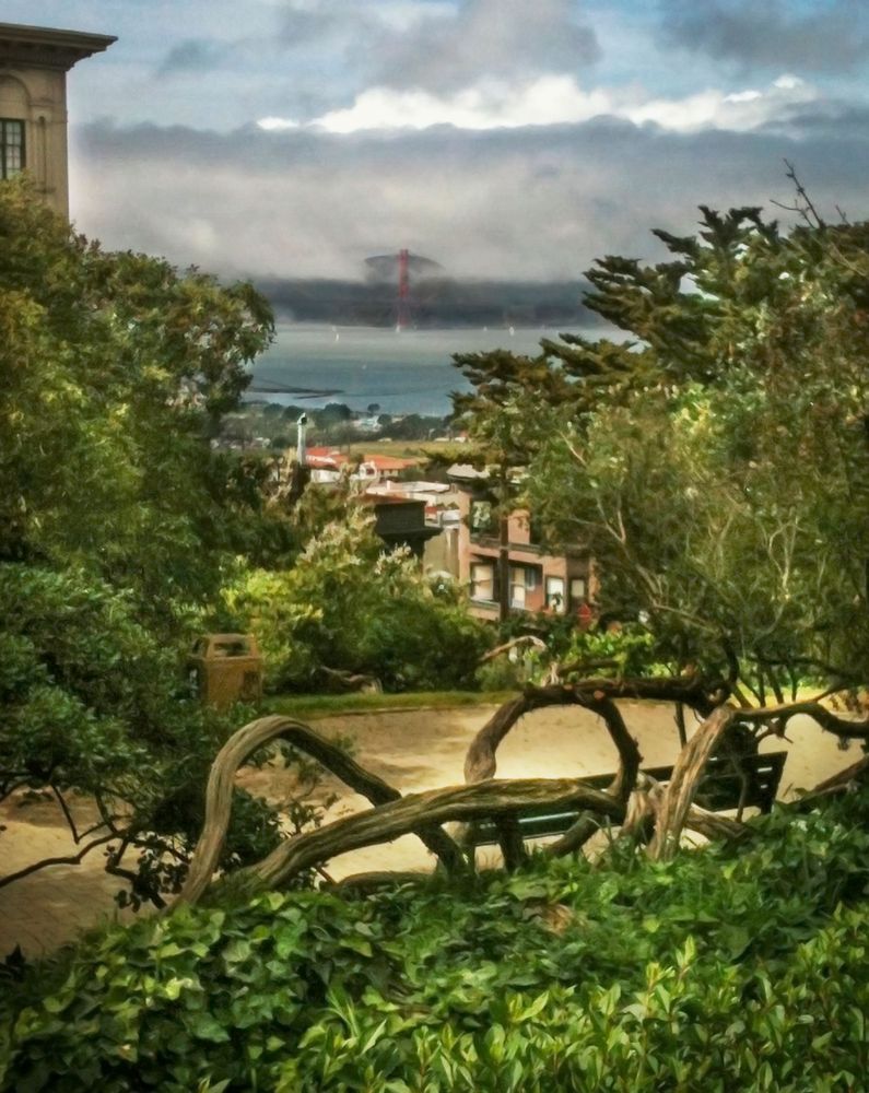 Golden Gate From The City Art | Patrick Cosgrove Art and Photography