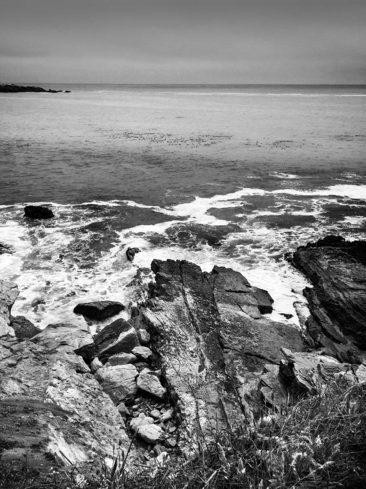 Gualala Point No.3 Art | Patrick Cosgrove Art and Photography