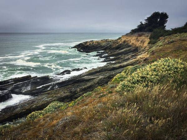 Gualala Point No.2 Art | Patrick Cosgrove Art and Photography