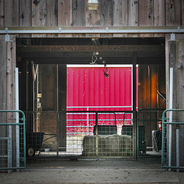 A freshly painted wall seems to glow as seen through the interior of a hay barn.