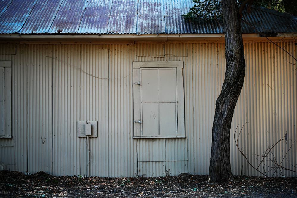 Textures and colors are softened in the open shade of morning light at a Yolo County ranch.