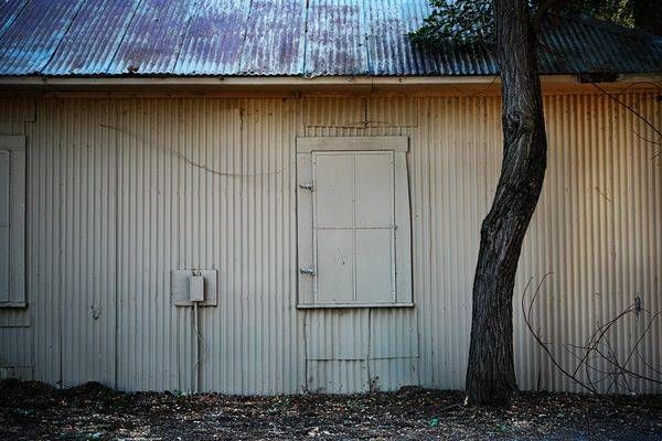 Textures and colors are softened in the open shade of morning light at a Yolo County ranch.