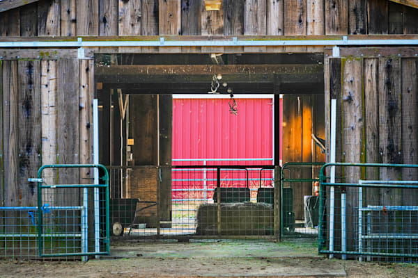 A freshly painted wall seems to glow when viewed through the interior of a hay barn at Glide Ranch in Yolo County, California.