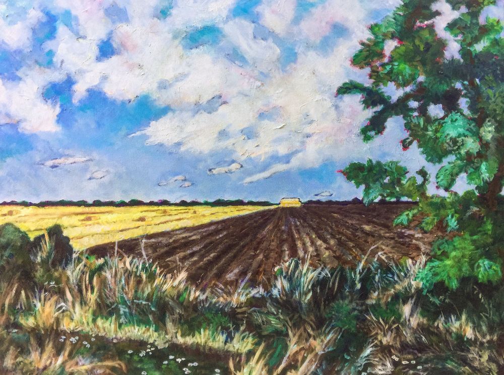 Davis Farm No.1 Print Art | Patrick Cosgrove Art and Photography