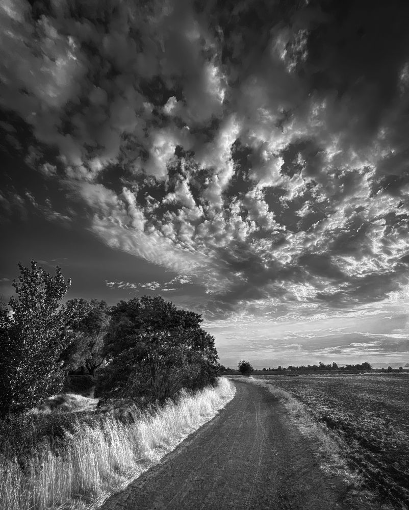 Spring clouds loom over a service path running along a farm field in Yolo County, California.