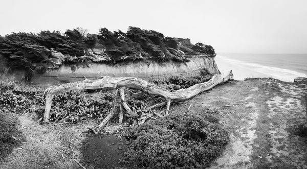 Half Moon Bay Ravine Art | Patrick Cosgrove Art and Photography