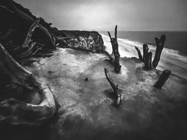 Half Moon Bay Cliff And Stumps Art | Patrick Cosgrove Art and Photography
