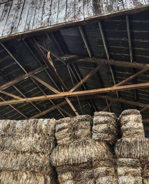 Bales of hay are stored in a weathered barn.