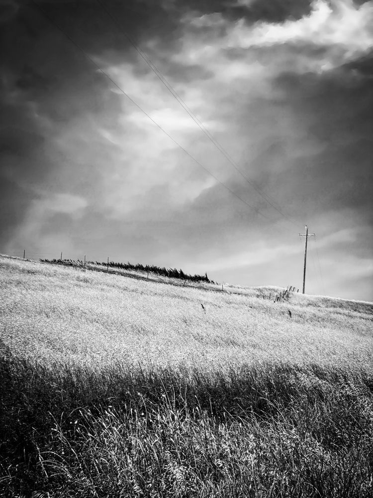 High Clouds soar over a grassy hillside in the heat of a Yolo County, California, summer.