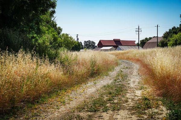 Farm Path At Land Based Learning Center Art | Patrick Cosgrove Art and Photography