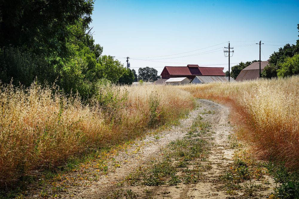 Farm Path At Land Based Learning Center Art | Patrick Cosgrove Art and Photography
