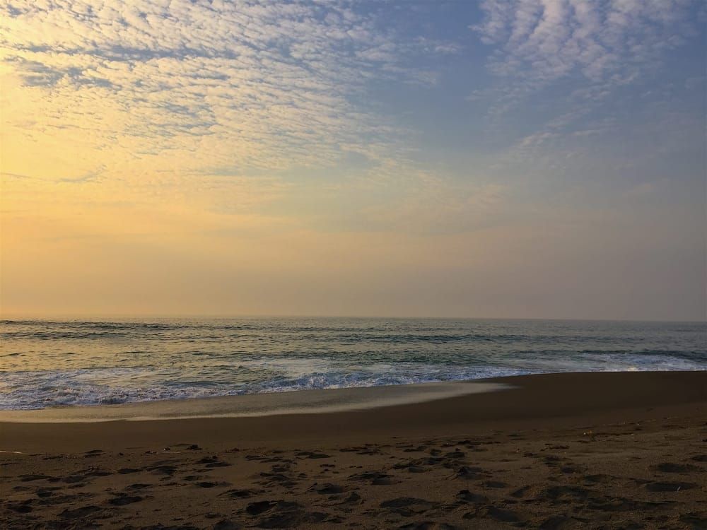 Limantour Sunset No.1 Art | Patrick Cosgrove Art and Photography