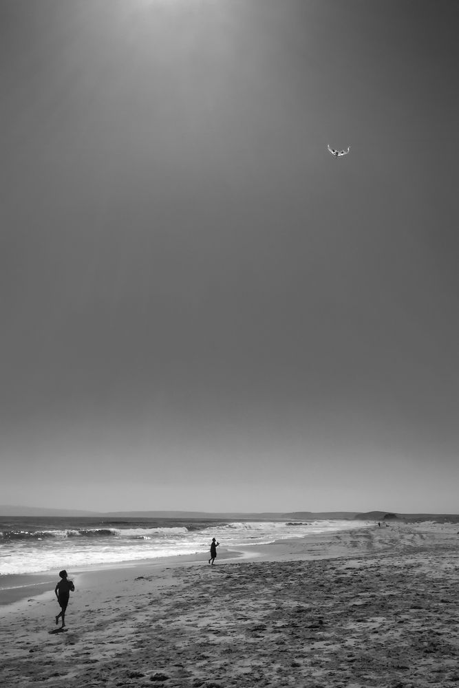 Kite At Limantour Beach Art | Patrick Cosgrove Art and Photography