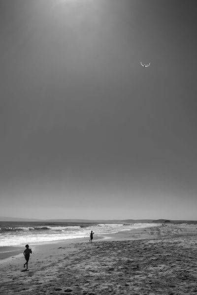 Kite At Limantour Beach Art | Patrick Cosgrove Art and Photography