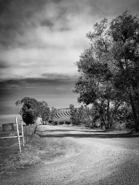 A dirt truck path skirts the edge of M3 Ranches in Yolo County, California.