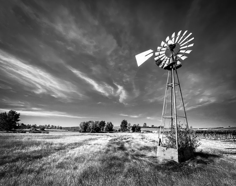 A windmill stands by in the midst of drought at M3 Ranches in Yolo County, California.