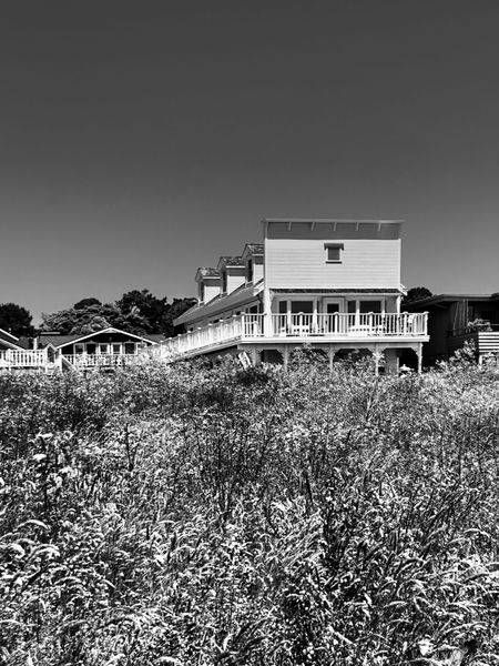 Mendocino Storefront Art | Patrick Cosgrove Art and Photography
