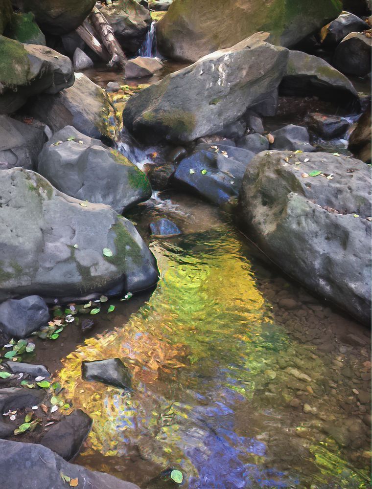 Fall Reflection, Mc Cloud River Art | Patrick Cosgrove Art and Photography