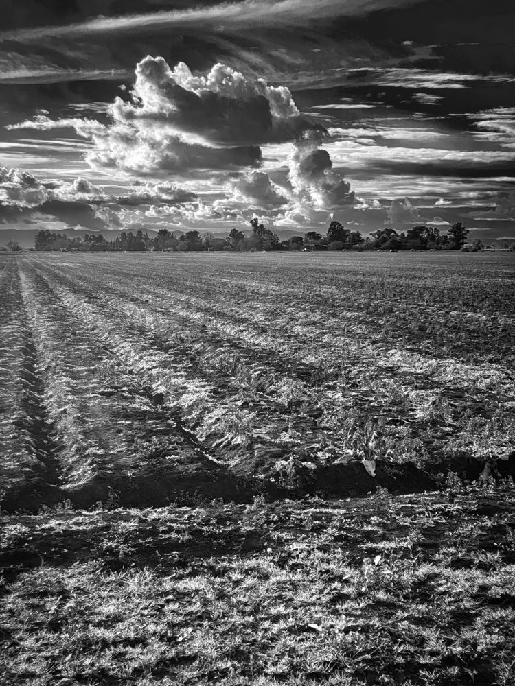 Orderly rows of plowed earth contrast with the chaotic shapes of passing storm clouds.