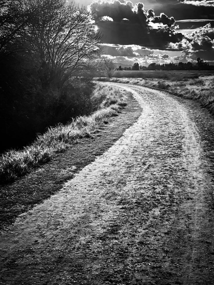 The sun plays hide-and-seek behind Spring storm clouds, and illuminates a farm path.