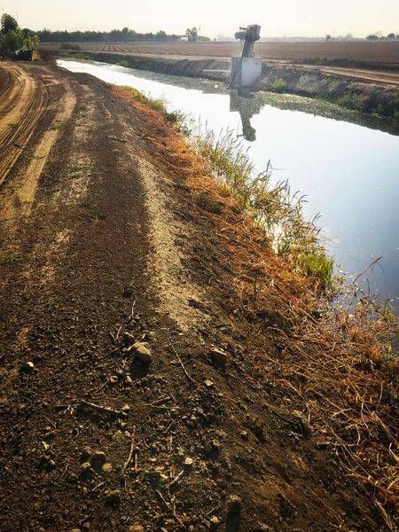 Morning light reflects off the water in an irrigation ditch at the Capay Ranch, Yolo County, California.