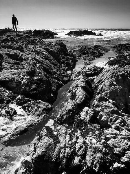 Moss Landing Wanderer Art | Patrick Cosgrove Art and Photography