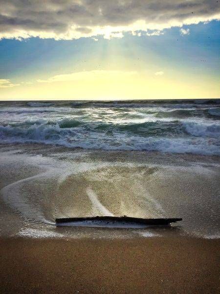 Moss Landing Driftwood Art | Patrick Cosgrove Art and Photography